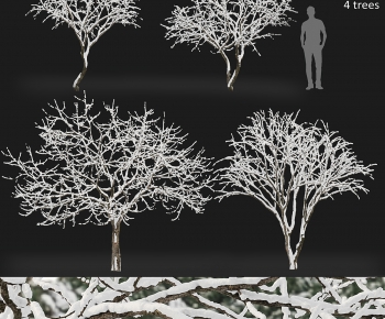 Modern Tree-ID:769936084