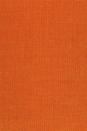 ModernWall Covering
