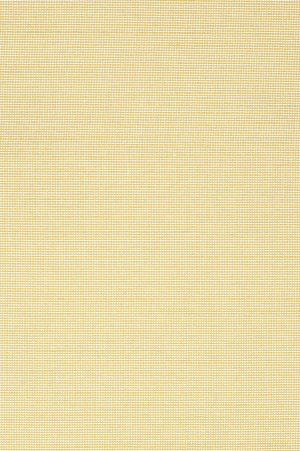 ModernWall Covering