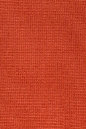 ModernWall Covering