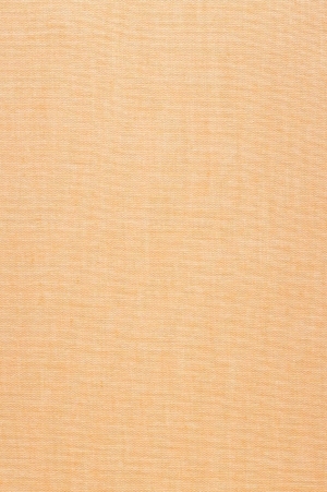 ModernWall Covering