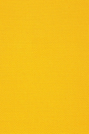 ModernWall Covering
