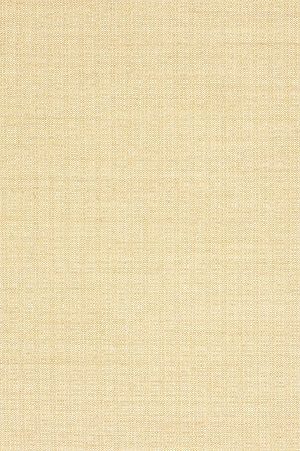ModernWall Covering