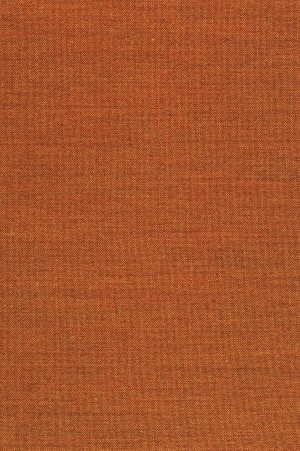 ModernWall Covering