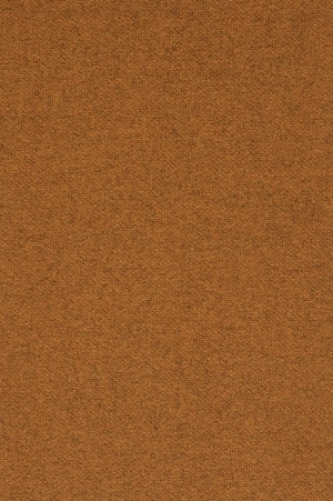 ModernWall Covering