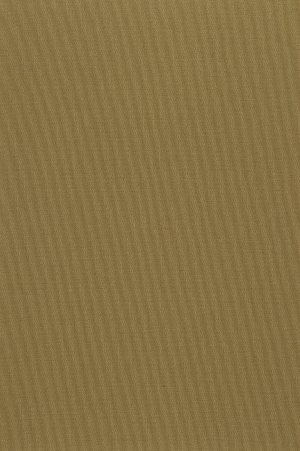 ModernWall Covering