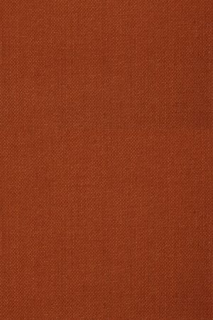 ModernWall Covering
