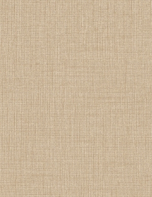 ModernWall Covering
