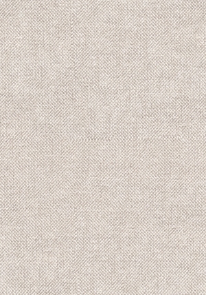 ModernWall Covering
