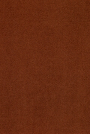 ModernWall Covering