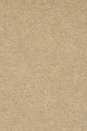 ModernWall Covering