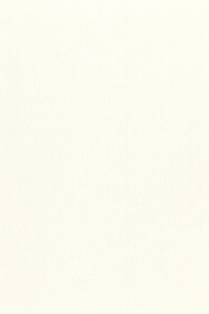 ModernWall Covering