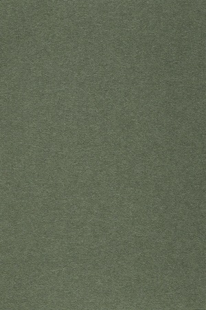 ModernWall Covering
