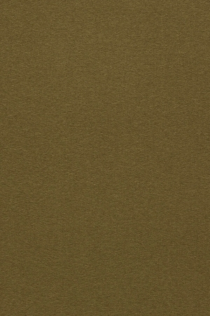 ModernWall Covering