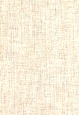 ModernWall Covering