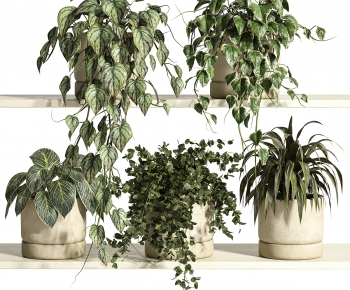 Nordic Style Potted Green Plant-ID:184736019