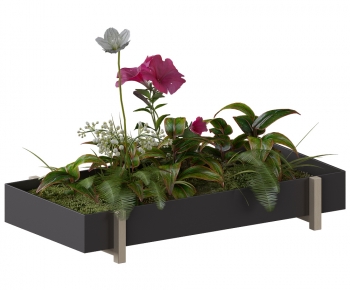 Modern Flower Bed, Flower Bowl, Flower Box-ID:169858929