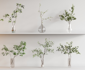 Modern Aquatic Green Plant-ID:264807944