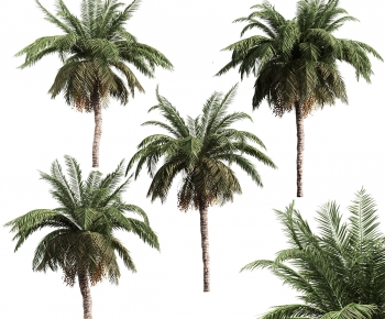 Modern Tree-ID:567109694