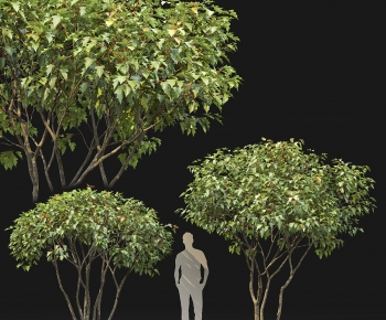 Modern Tree-ID:164963965