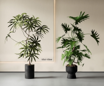 Modern Ground Green Plant Potted Plants-ID:722281938