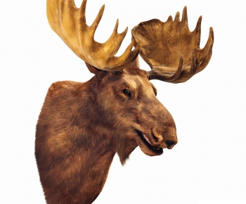 Modern Wall Decoration-ID:197398903