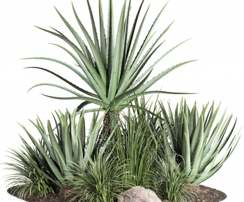 Modern Plant-ID:705826046