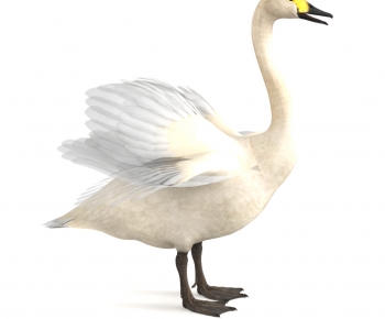 Modern Flying Animals-ID:799490932