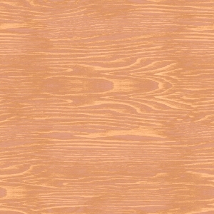 ModernWood Texture