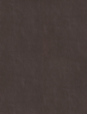 ModernParquet