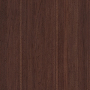 ModernWood Texture