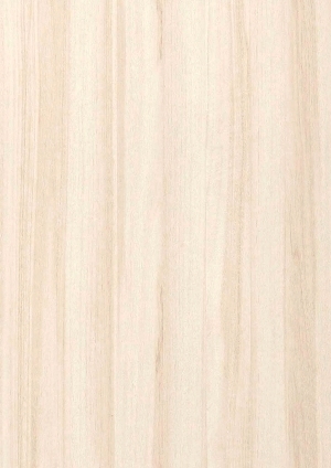 ModernWood Texture
