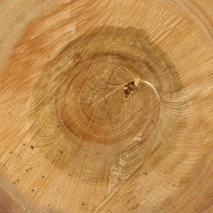 ModernWood Texture