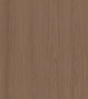 ModernWood Texture