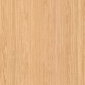 ModernWood Texture