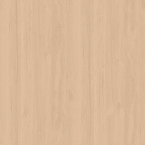 ModernWood Texture