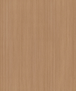 ModernWood Texture