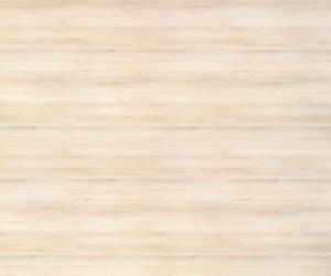ModernWood Texture