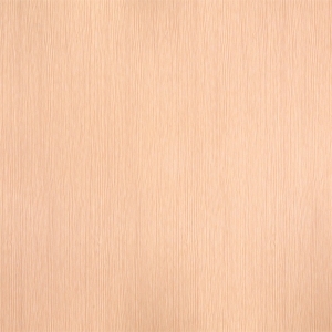 ModernWood Texture