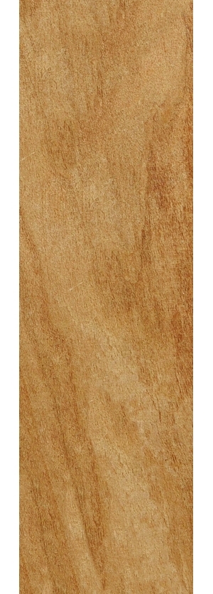 ModernWood Texture