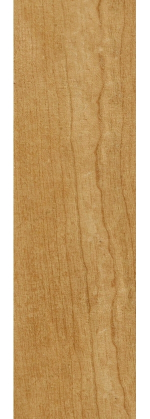 ModernWood Texture