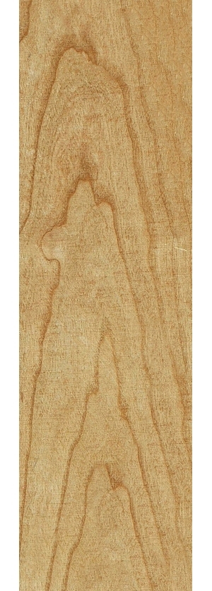 ModernWood Texture