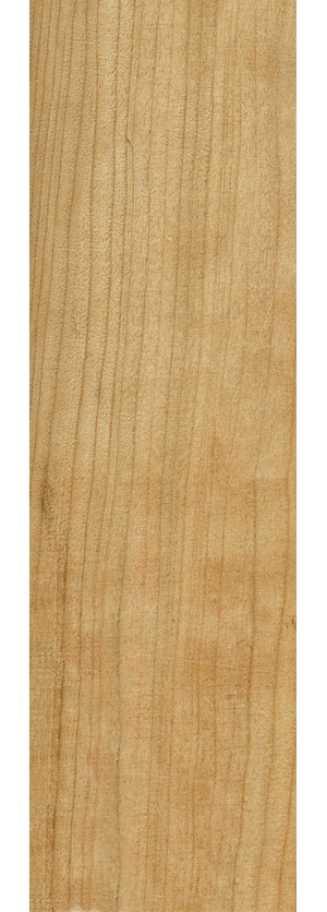 ModernWood Texture