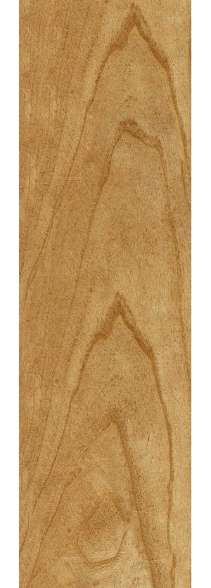 ModernWood Texture