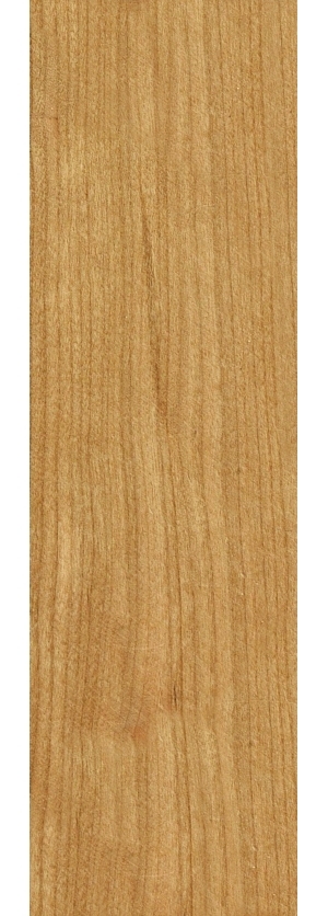 ModernWood Texture