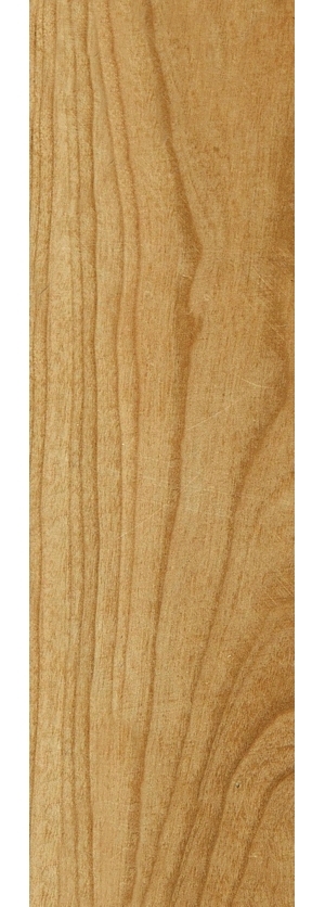 ModernWood Texture