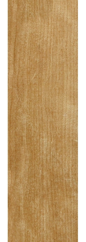 ModernWood Texture