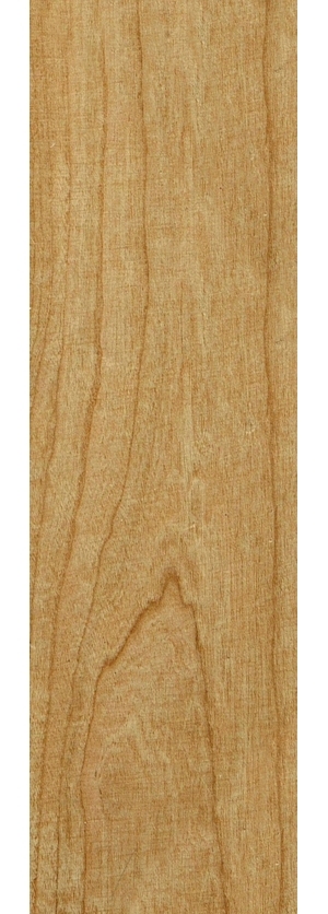 ModernWood Texture