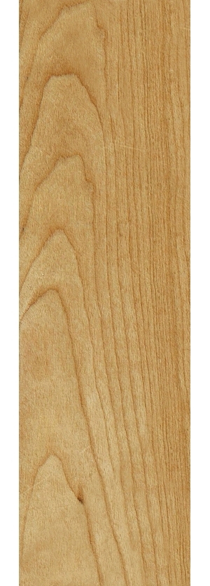 ModernWood Texture