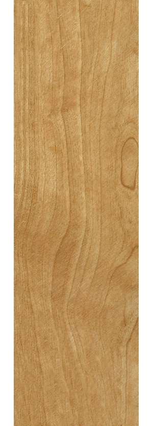 ModernWood Texture